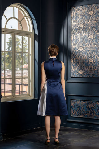 Audrey Navy white Dress